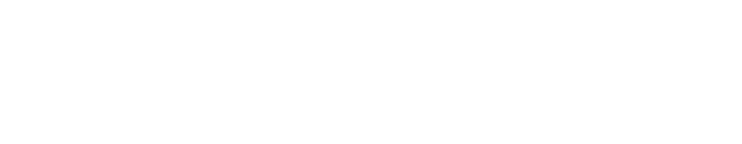 StoreDot